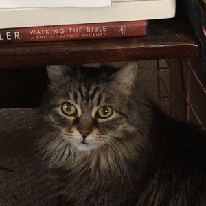 Meet your Posher, Joella